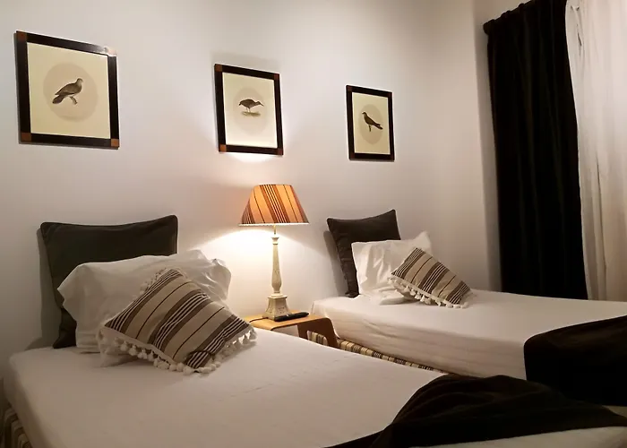 Discovery Expo - Aeroporto Pensión